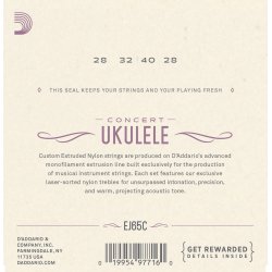 D'Addario EJ65C Ukulele Koncert
